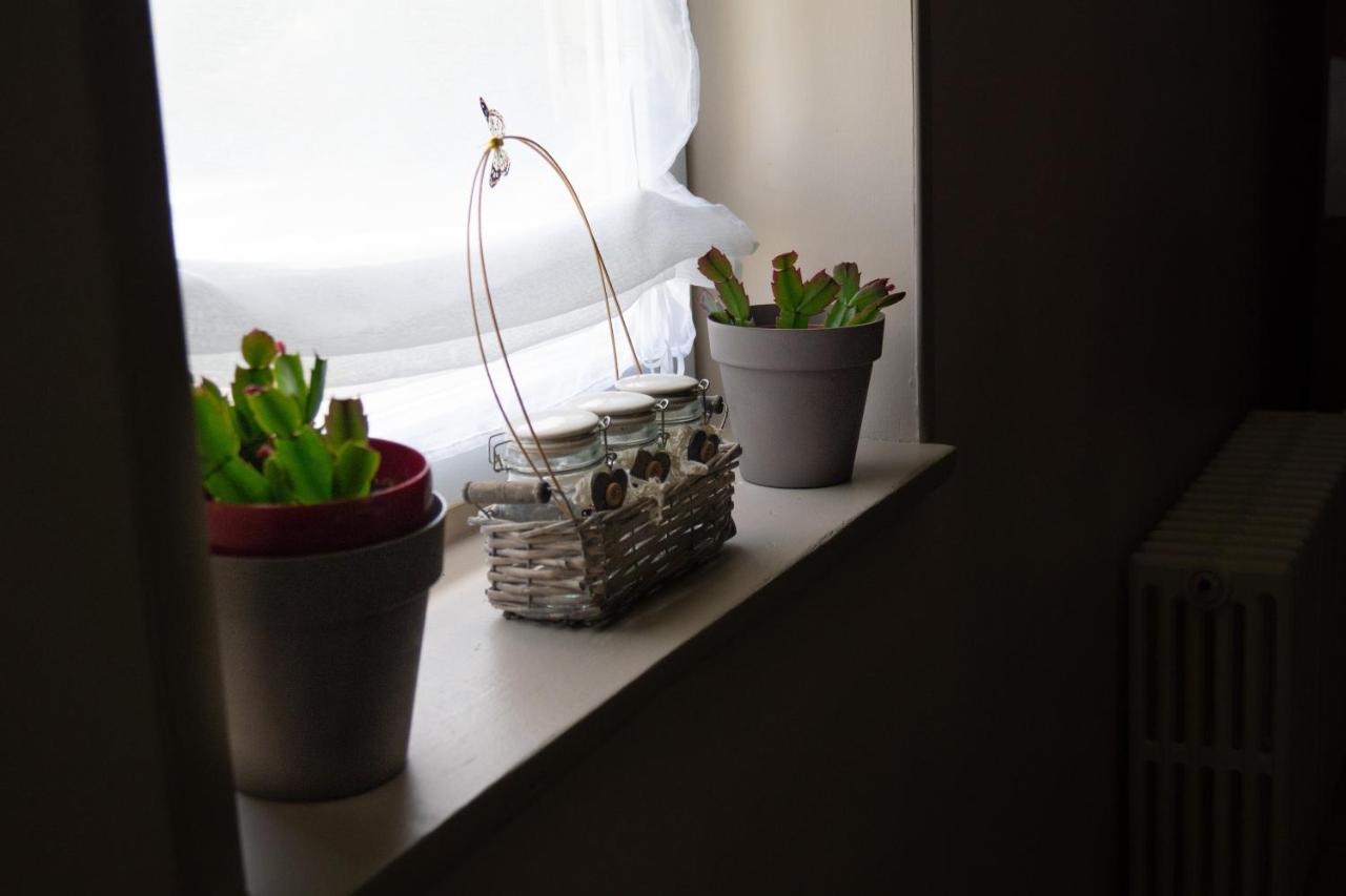 Quaëdypre Au Cheval Noir B&B 외부 사진